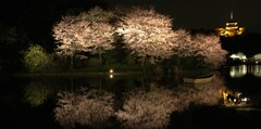そっとおやすみ