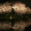 そっとおやすみ