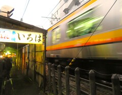 おいで　おいで