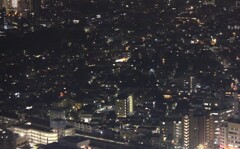 そっとおやすみ