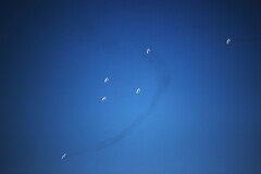 松島の夏 2025 松島の夏 2025