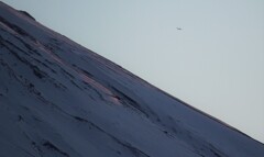 富士山肌を超える定期便（ライナー）