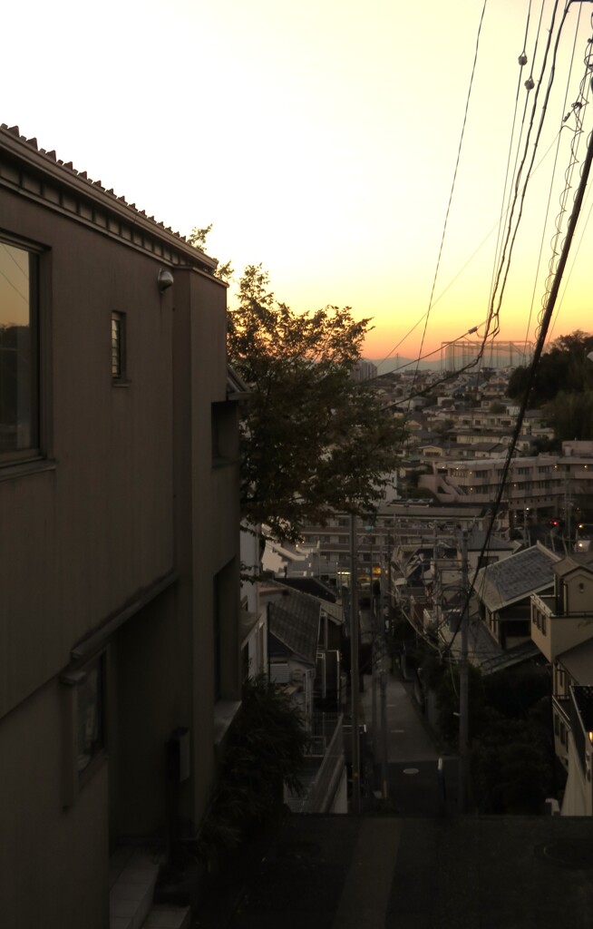 帰り道