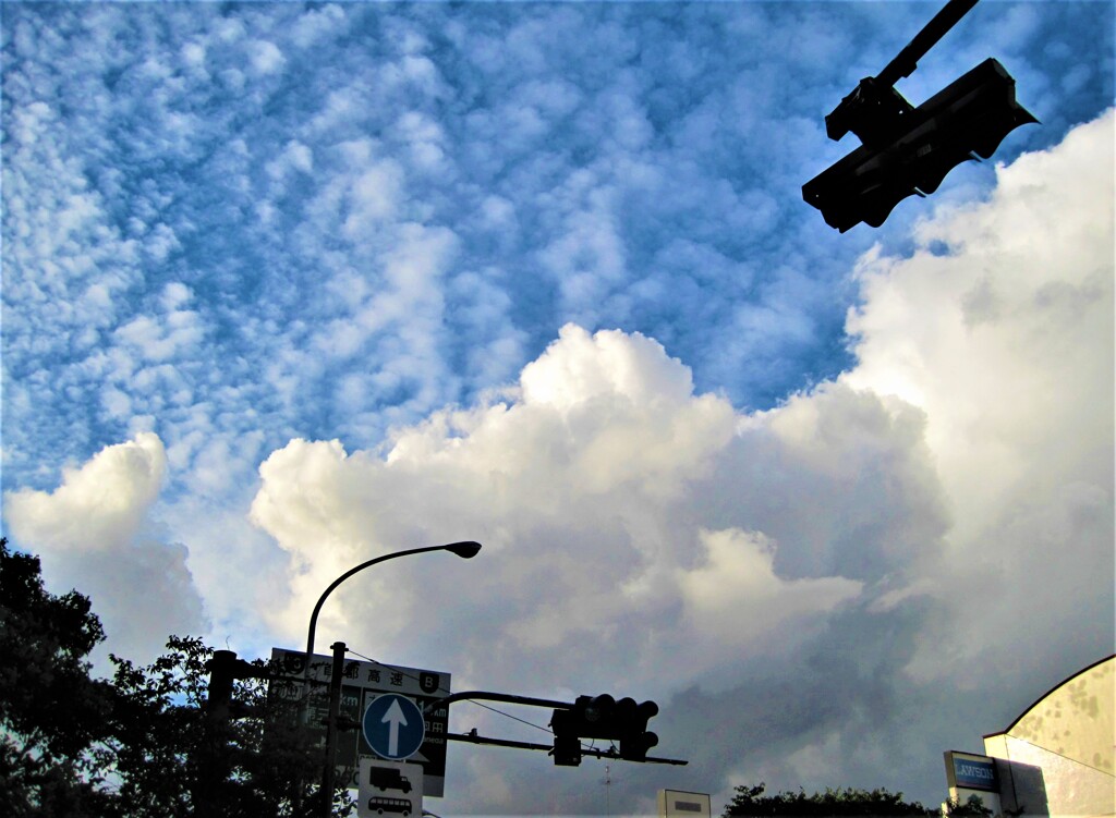 ご近所の空　夏と秋のせめぎあい