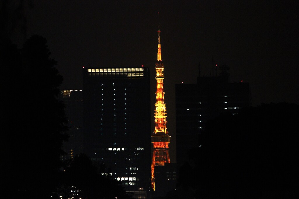 そっとおやすみ