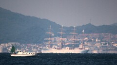 夢で逢えたら