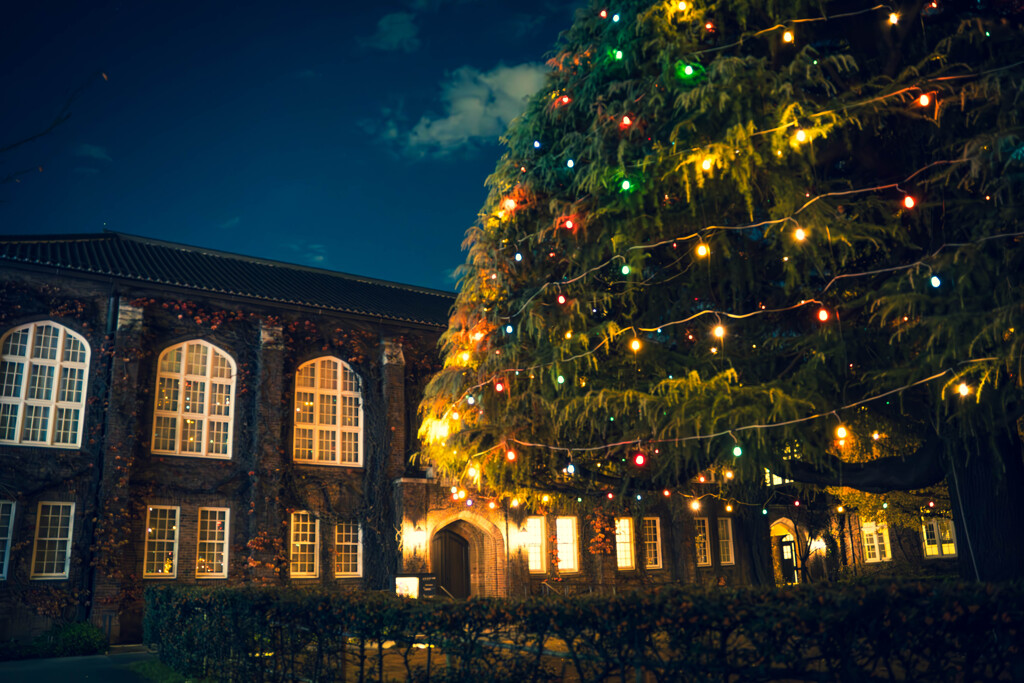 クリスマスツリー２