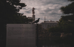 高松５