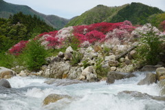 花桃の里