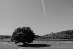 ひこうき雲