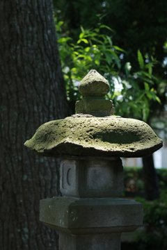 スナップ：影