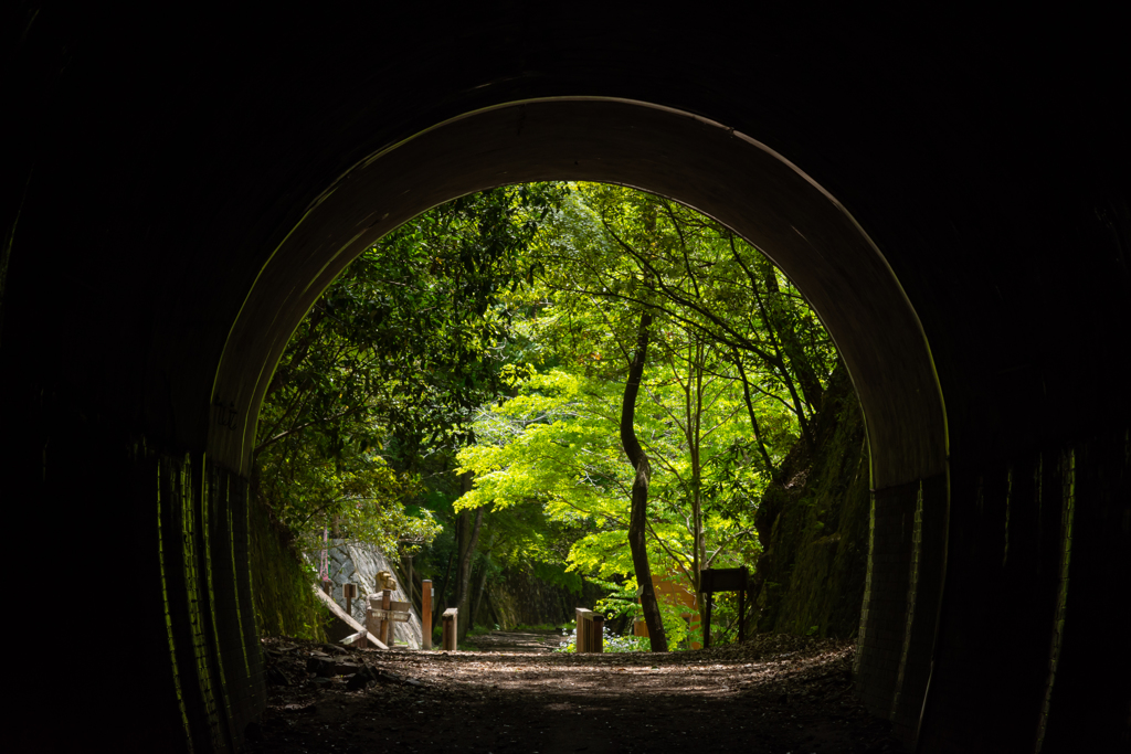 トンネルの中から