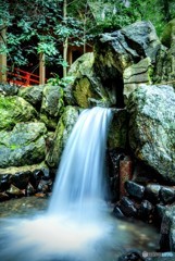 椿大神社  願い滝