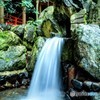 椿大神社  願い滝