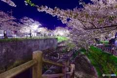 夜桜を初撮影 7D/シグマ10-20mm