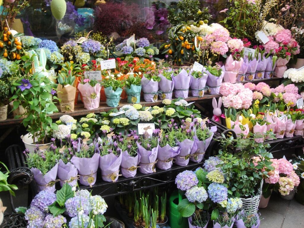 プラハ旧市街地