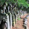 高山稲荷神社　3