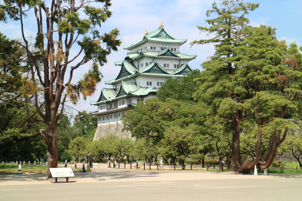 名古屋　９