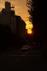 山手内の夕陽