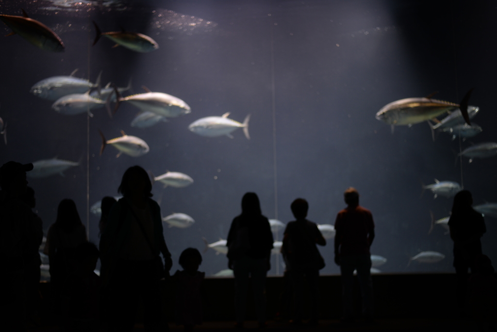 水族館