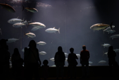 水族館