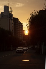 のぞかせた火
