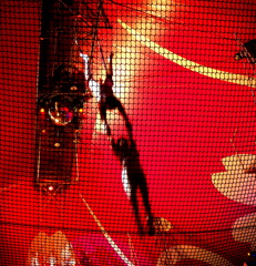 さくらサーカス④