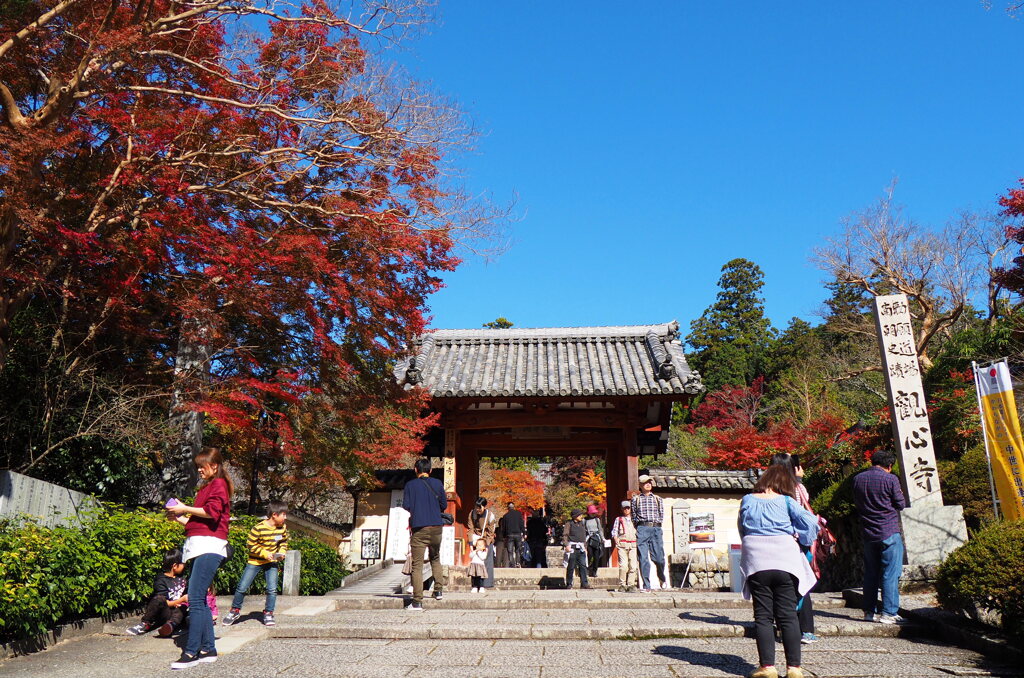 人気のお寺さん