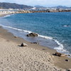 冬の桂浜１