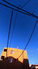 見上げれば