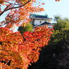 和歌山城②