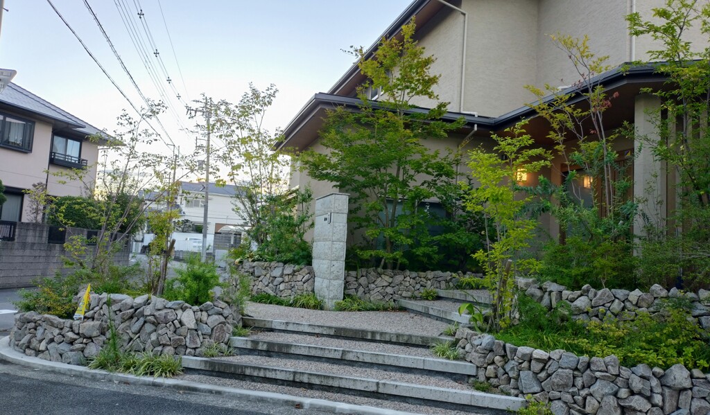 早朝散歩