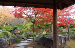 日本庭園の紅葉4