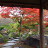 日本庭園の紅葉4