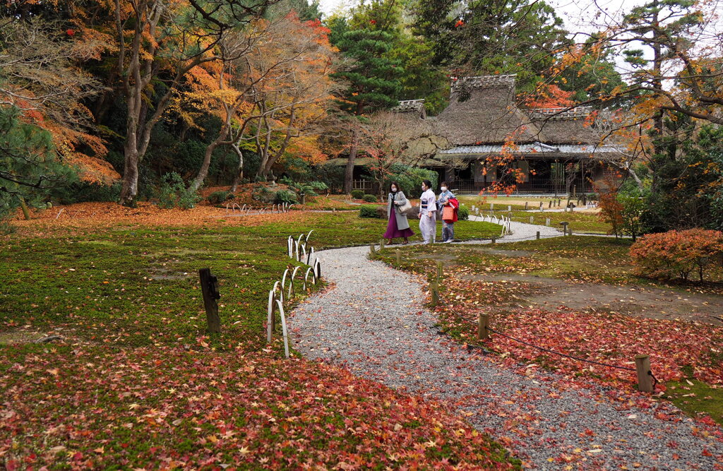 晩秋の庭園２