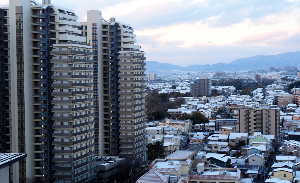 薄っすら雪化粧②