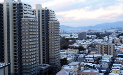 薄っすら雪化粧②