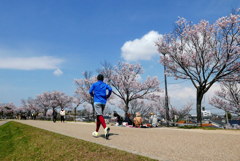 青空に向かって