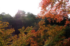 錦秋の和歌山城２