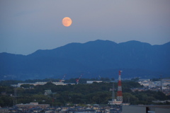 山の上に上がってきました♪