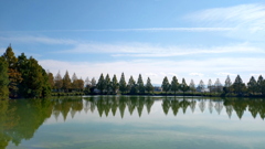 お気に入りの場所