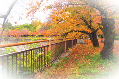 ホワイトエッジ