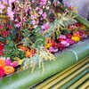 北野の花手水