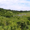 八島湿原１