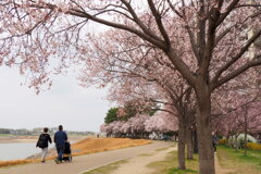 お散歩