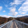 九重夢大吊橋１