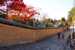 二月堂裏参道①