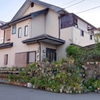 鉢植えが一杯♪