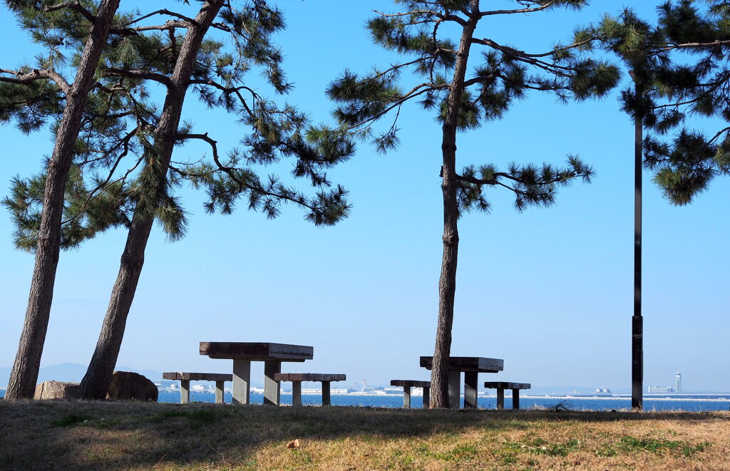 冬の浜辺