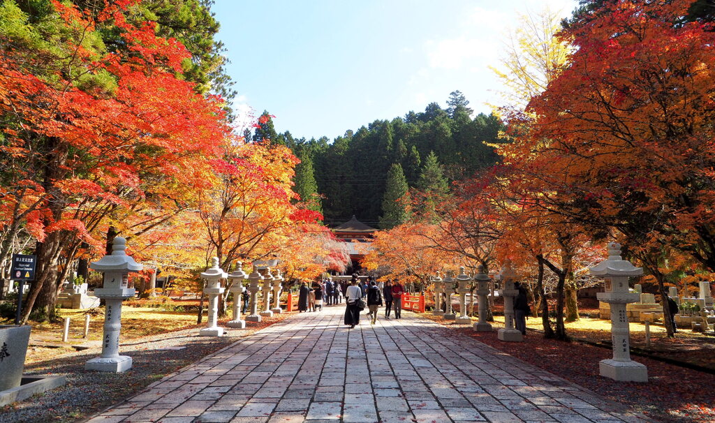 高野山紅葉